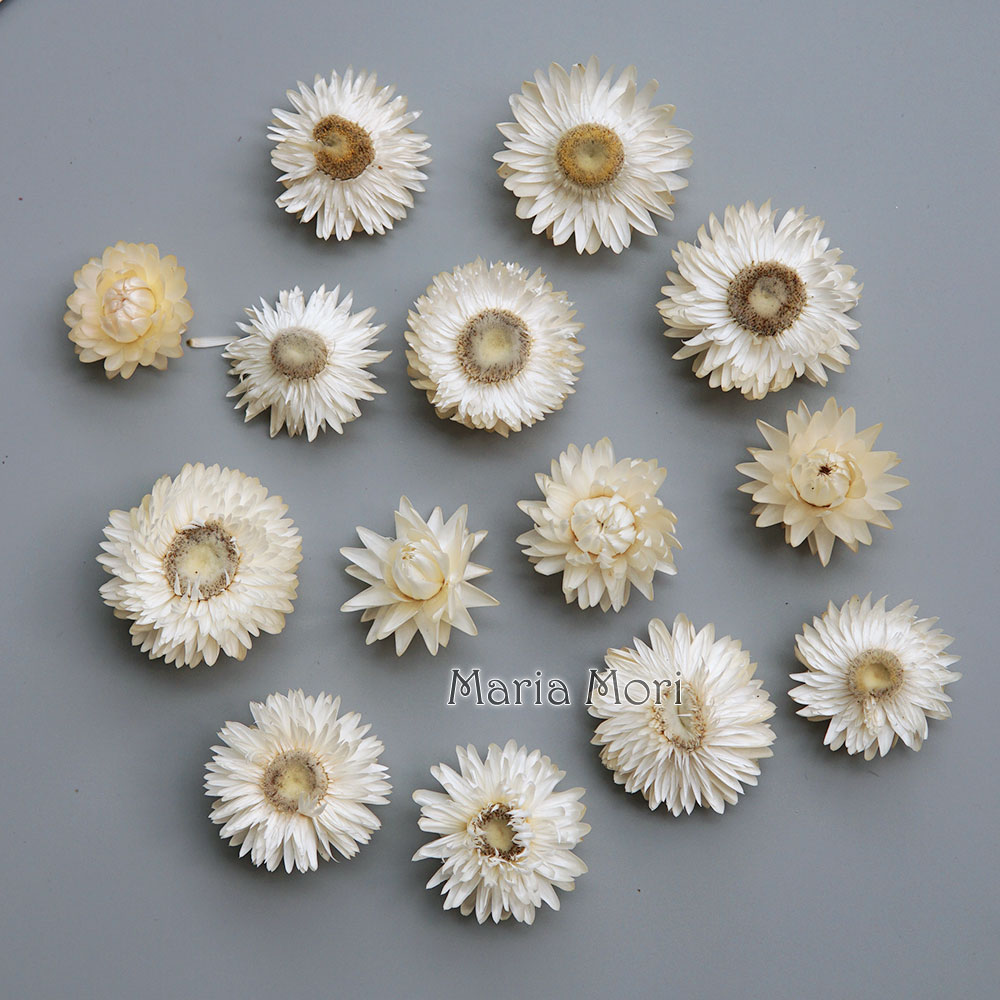 Baby Products List - Couronne de chrysanthème colorée séchée naturelle,